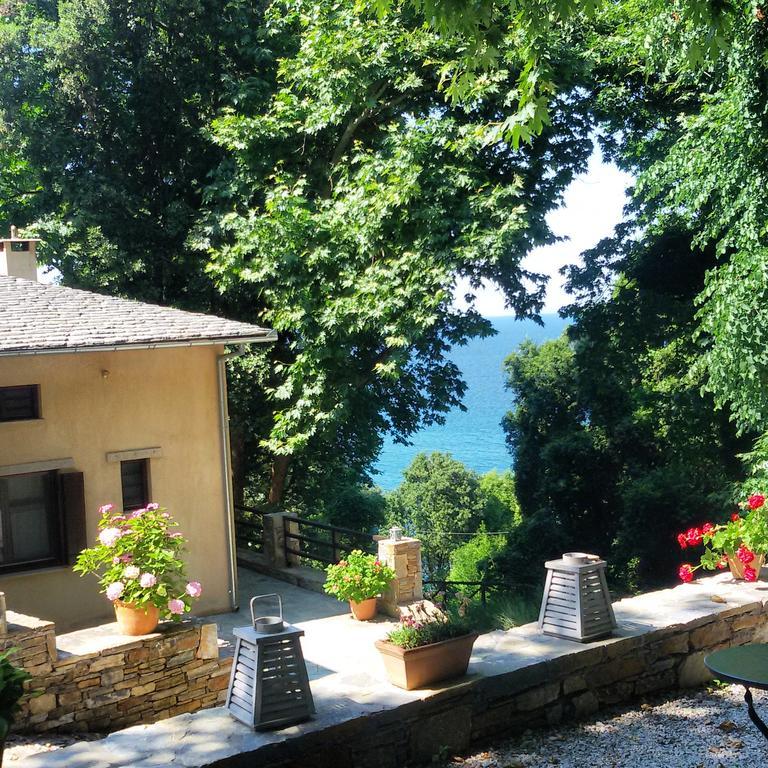 Vergopoulos Oliveyard Mouresi Exterior photo